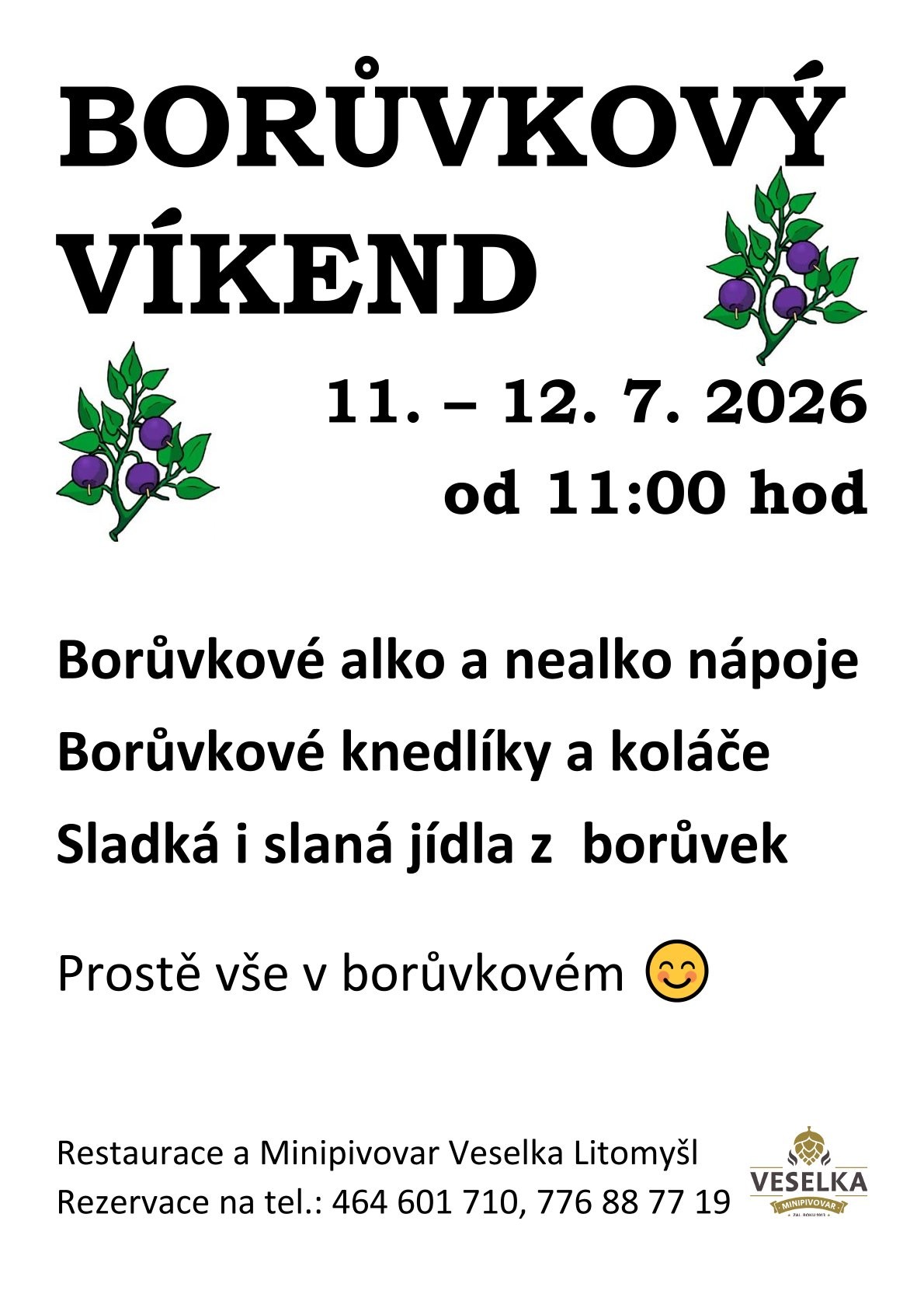 Borůvky plakát